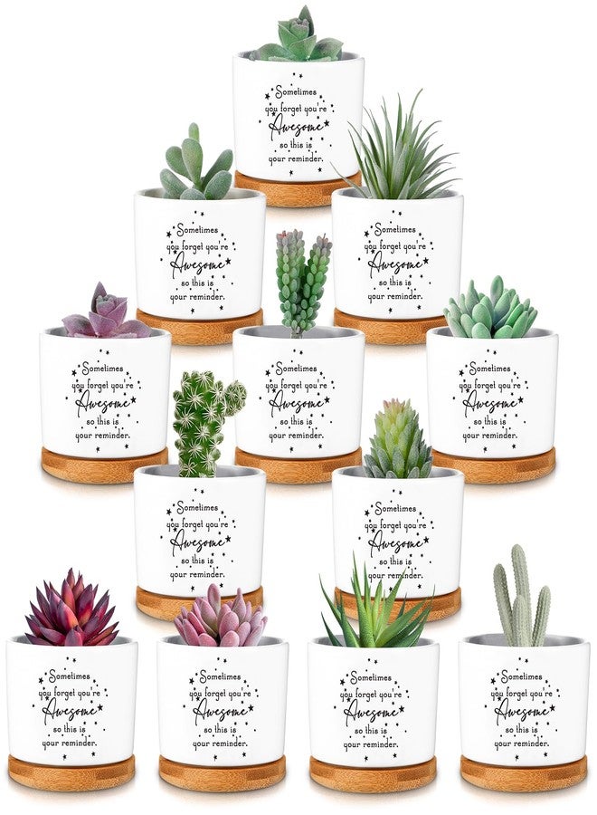 Seewey 12 Pcs Inspirational Succulent Pots Gifts Employee Appreciation Bulk Gifts for Women Coworker Teacher Small Ceramic Plant Pots with Bamboo Trays for Office Staff Graduation(Awesome) - Image 1
